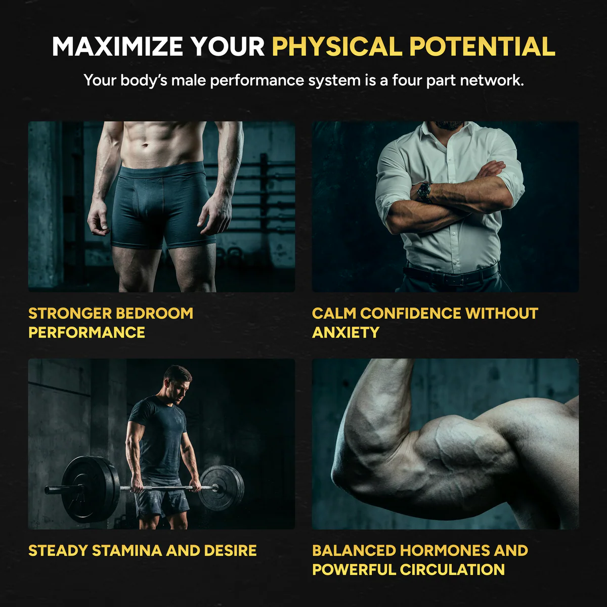 Performance Gummies. Your 6-in-1 support.